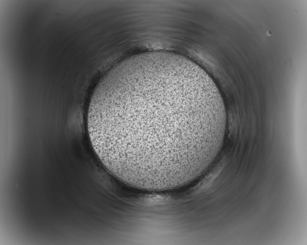 X0000088220453200705292117