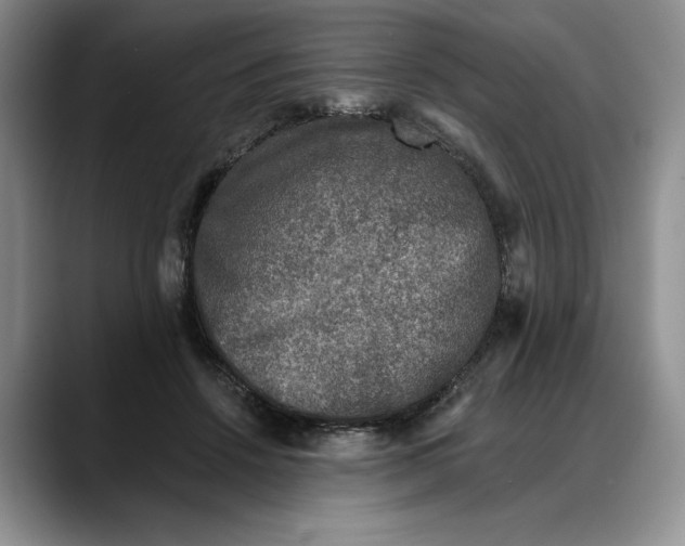 X0000088220456200705292117