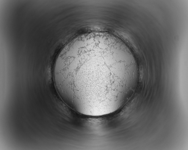 X0000088220457200705292117