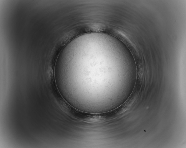 X0000088220459200705292117