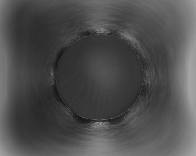 X0000088220465200705292117