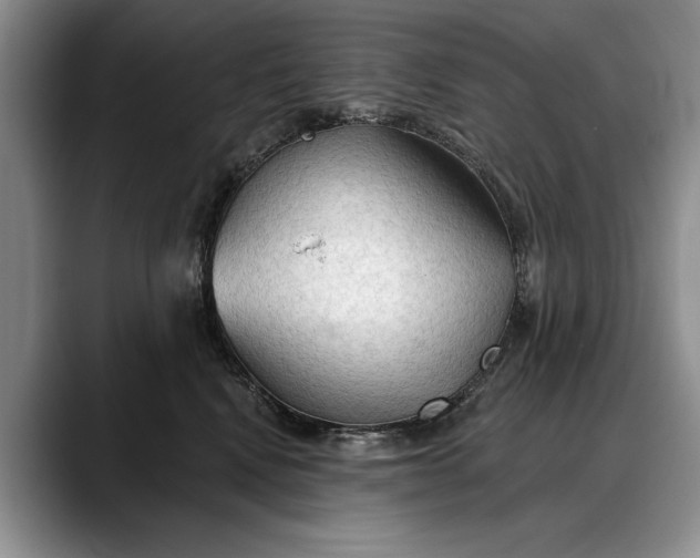 X0000088220472200705292117