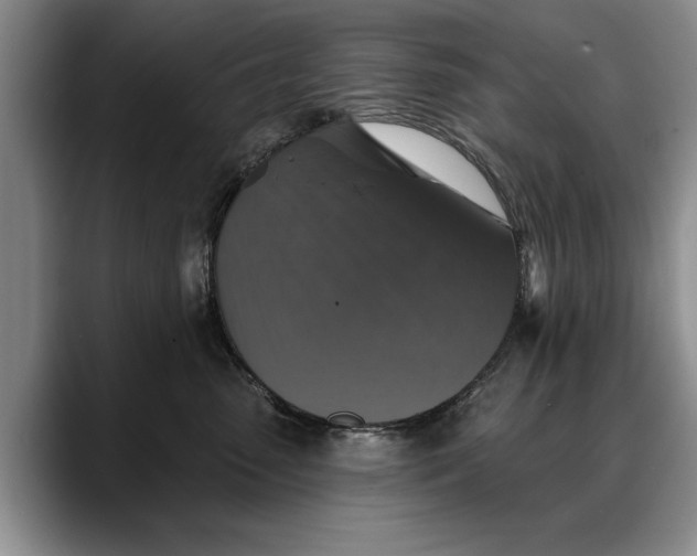 X0000088220475200705292117