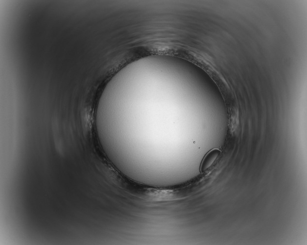 X0000088220476200705292117