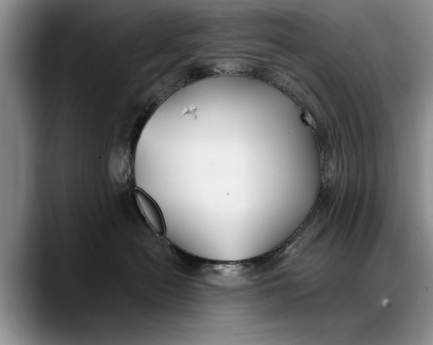 X0000088220478200705292117