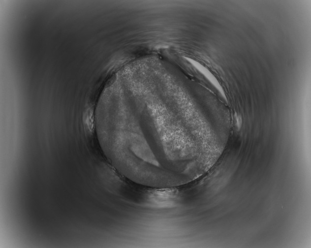 X0000088220479200705292117