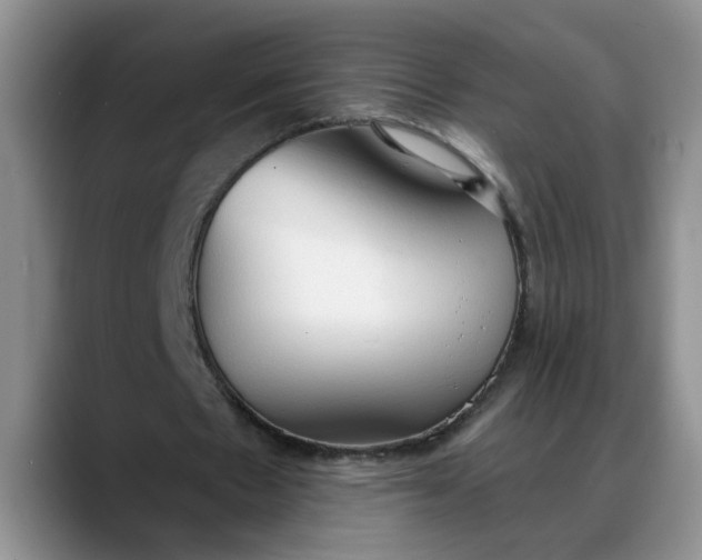 X0000088220481200705292117