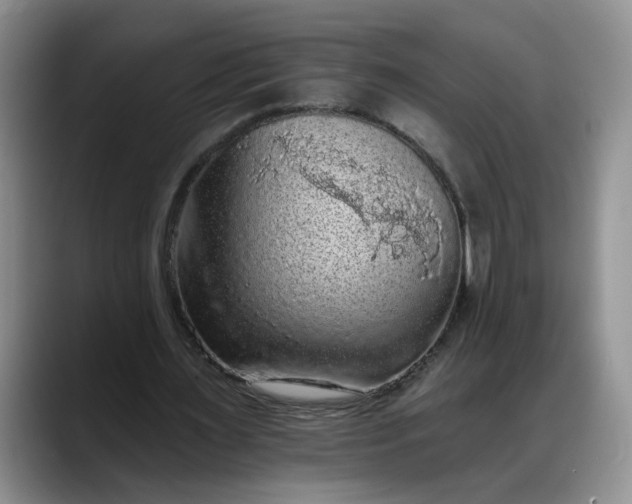 X0000088220483200705292117