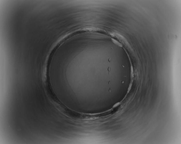 X0000088220484200705292117