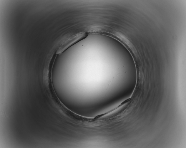 X0000088220485200705292117