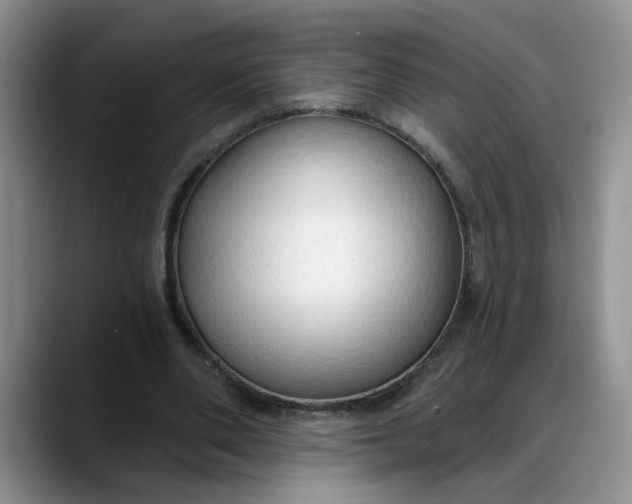 X0000088220486200705292117