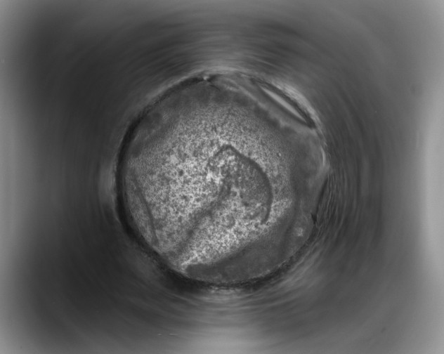 X0000088220487200705292117