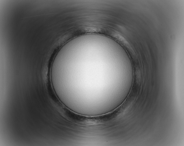 X0000088220490200705292116