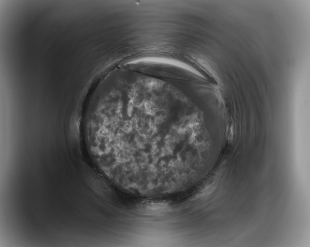 X0000088220491200705292116