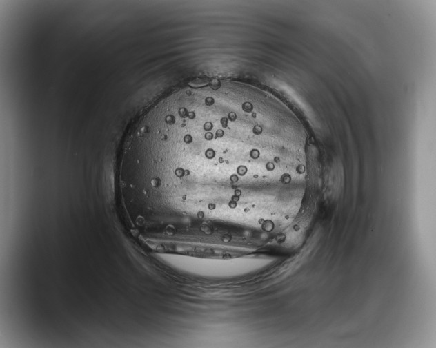 X0000088220493200705292116