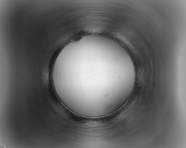 X0000088220494200705292116