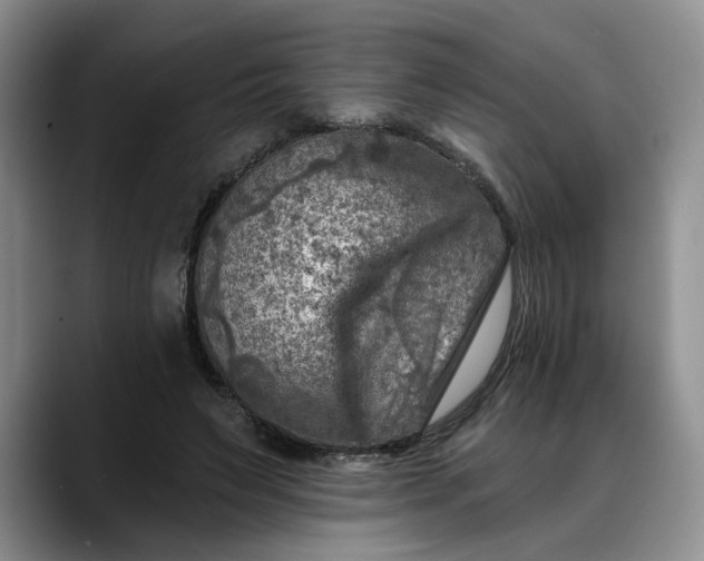 X0000088220495200705292116