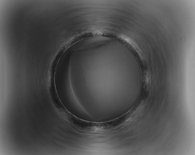 X0000088220496200705292116