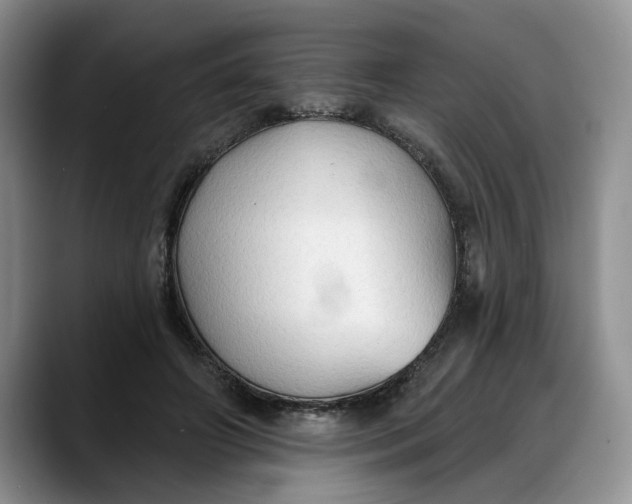 X0000088220498200705292116