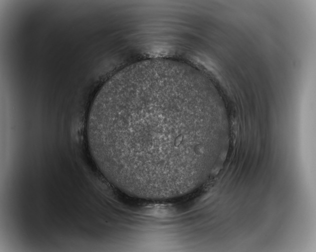 X0000088220499200705292116