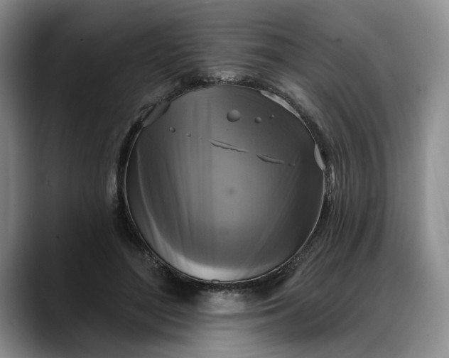 X0000088220500200705292116