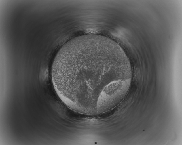 X0000088220502200705292116