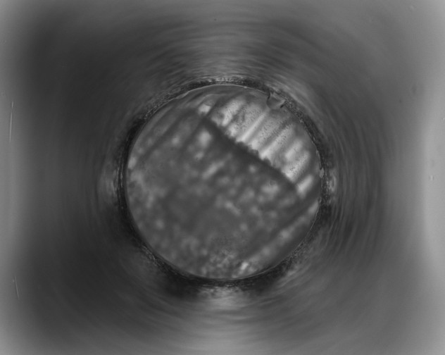 X0000088220503200705292116