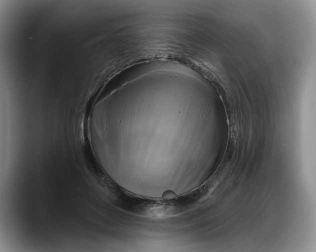 X0000088220504200705292116