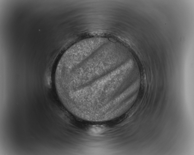 X0000088220508200705292116