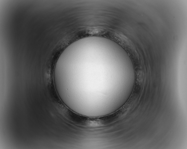 X0000088220510200705292116