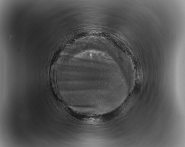 X0000088220512200705292116