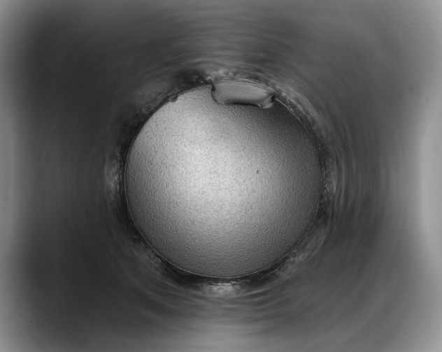 X0000088220513200705292116