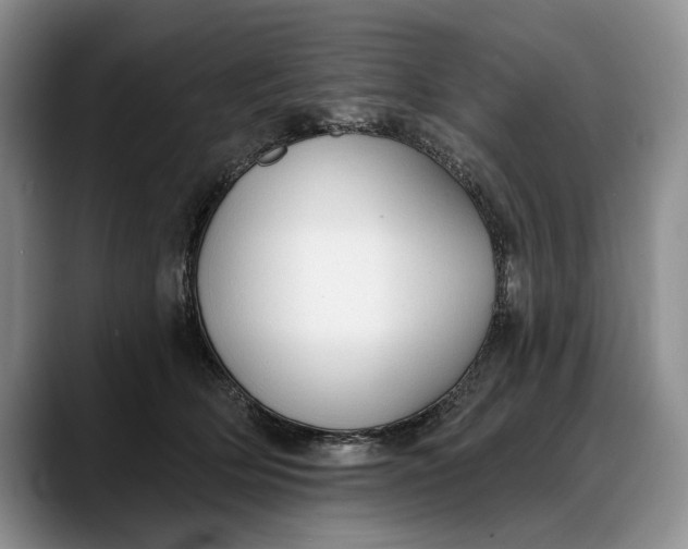 X0000088220514200705292116