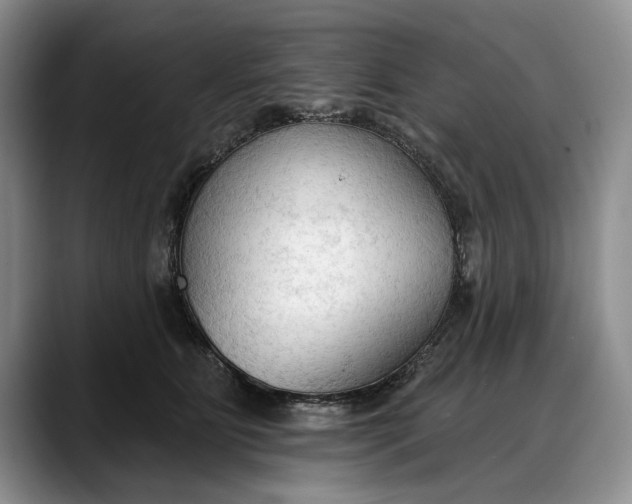 X0000088220515200705292116