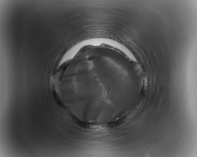 X0000088220516200705292116