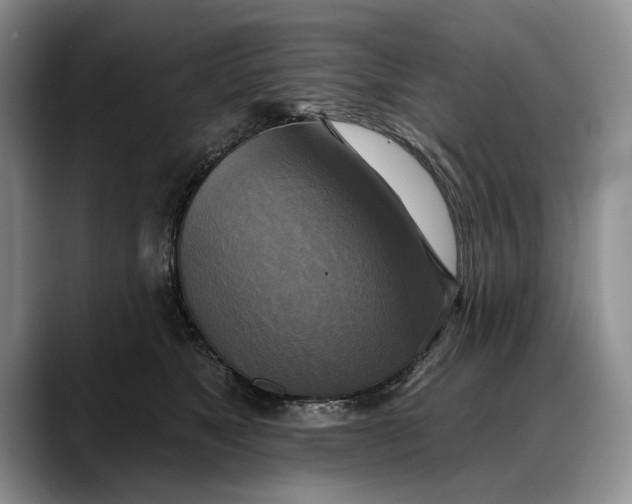 X0000088220517200705292116