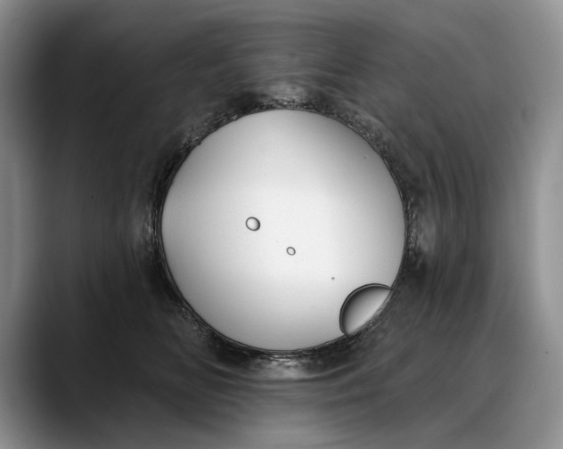 X0000088220518200705292116