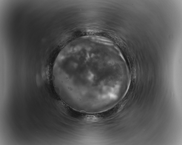 X0000088220519200705292116