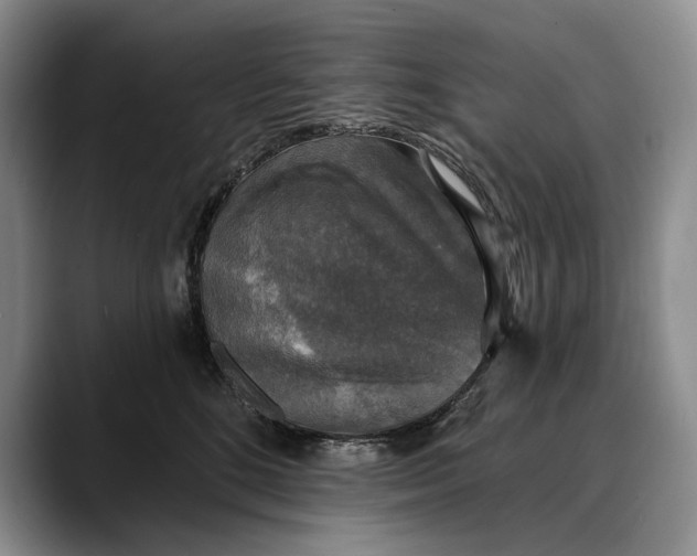 X0000088220520200705292116