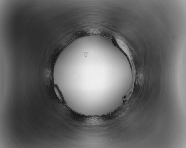 X0000088220521200705292116