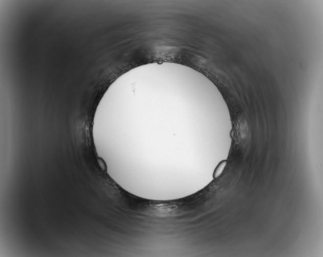 X0000088220522200705292116