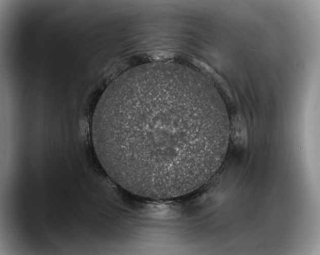 X0000088220523200705292116