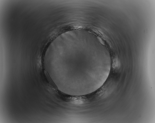 X0000088220524200705292116