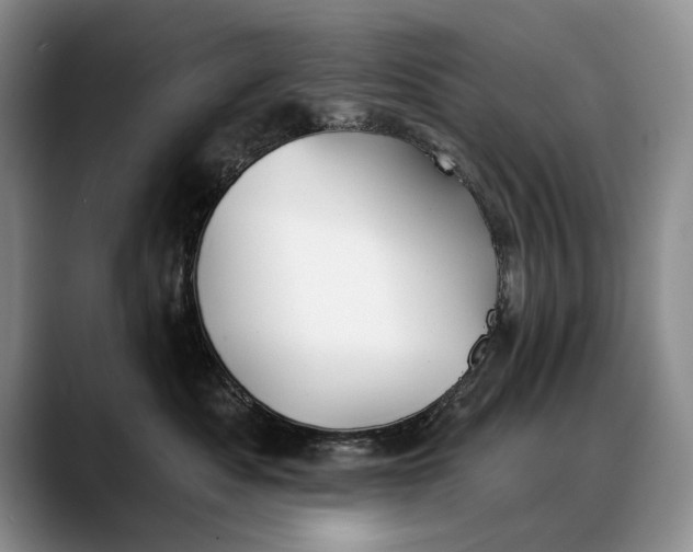 X0000088220525200705292116