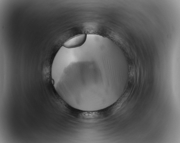 X0000088220526200705292116