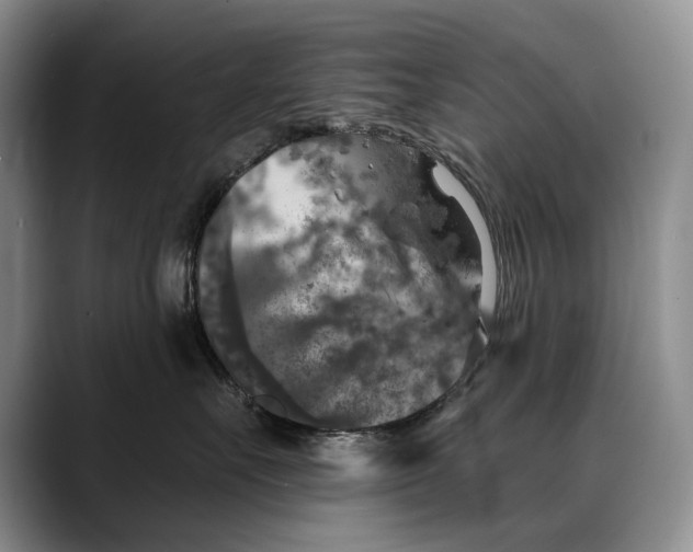 X0000088220527200705292116