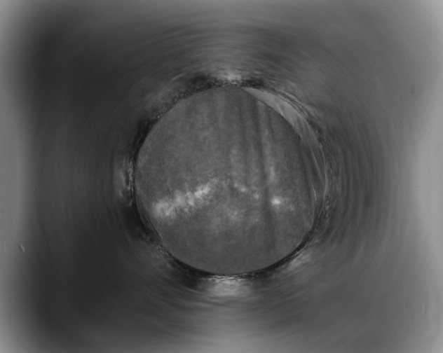 X0000088220528200705292116