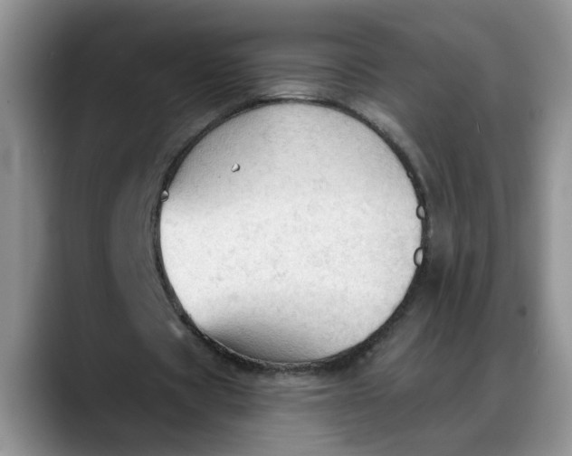 X0000088220529200705292115