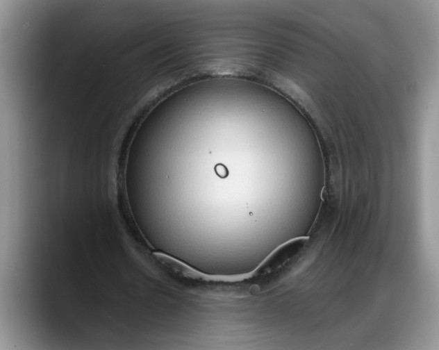 X0000088220530200705292115