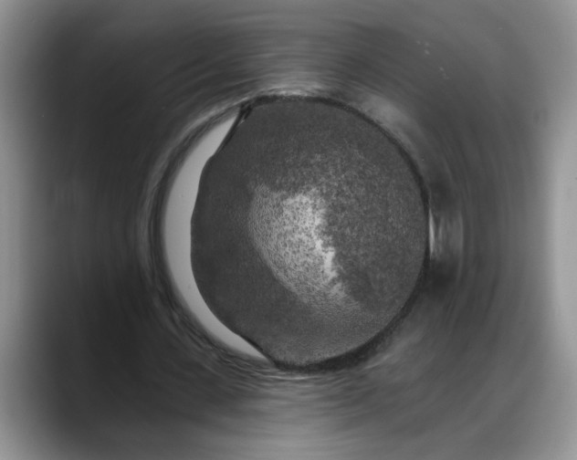 X0000088220531200705292115